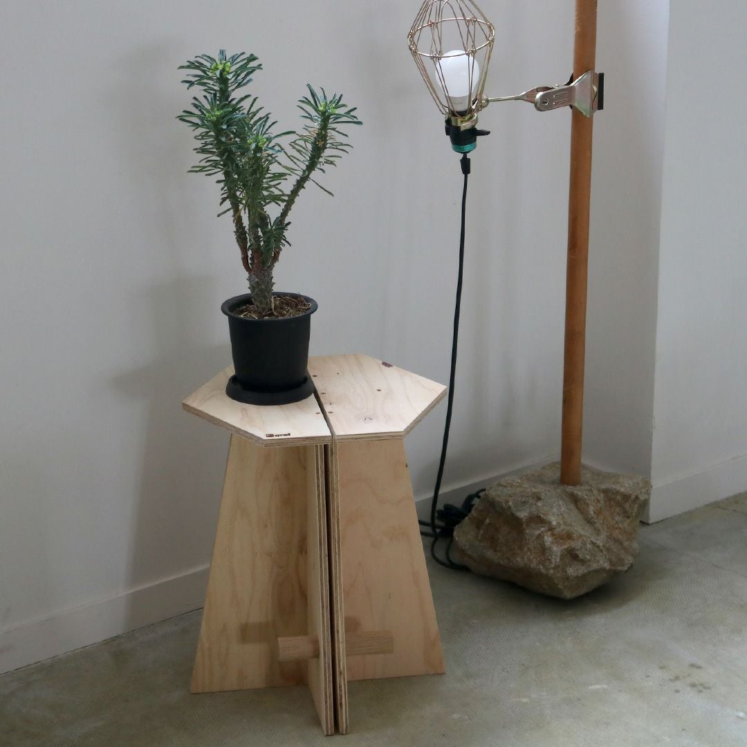 スツール　takeco！！ Akita Mokko Stool | Tortoise General Store